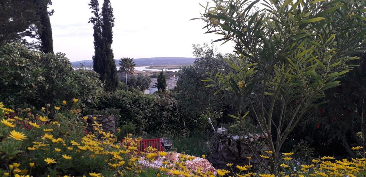 ונדרה Appartement A 8 Km De La Mer - 3 Chambres מראה חיצוני תמונה